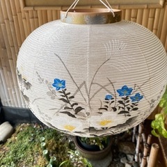 岐阜堤灯の画像
