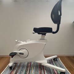 FLEXISPOT フィットネスバイク Sit2Go 2-in-1 エアロバイク