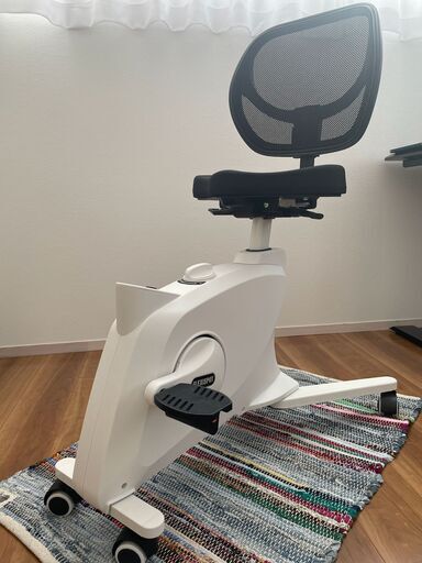 FLEXISPOT フィットネスバイク Sit2Go 2-in-1 エアロバイク
