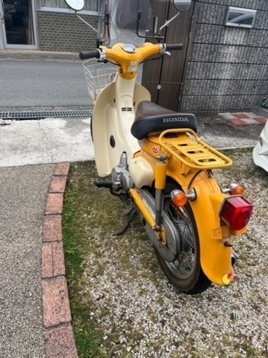 リトルカブ