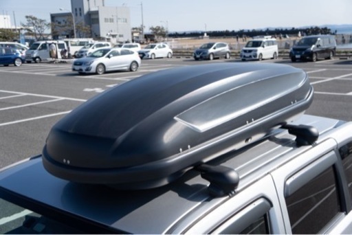 Terzo PIAAルーフボックス ORCA EA420B