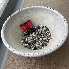 金魚鉢　　差し上げます！