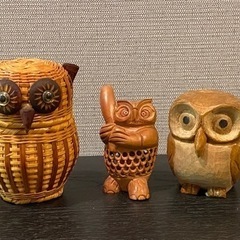 フクロウたち