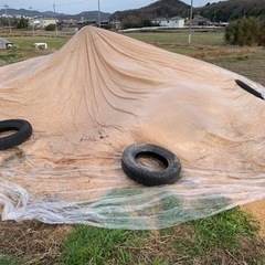 もみ殻　籾殻　野菜作り　もみ　45リットルゴミ袋1袋に付き300円の画像