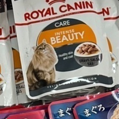 猫餌まとめ売り♥︎他にも数点付けます★37点の画像