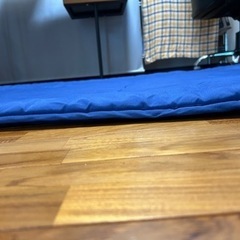 【0円】シングル用敷布団の画像