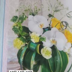 基本型レッスン💐の画像