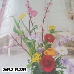 基本型レッスン💐の画像