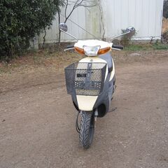 格安品　スズキレッツ２クリーム色の画像