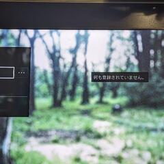 P.T.インストール済 PS4中古本体