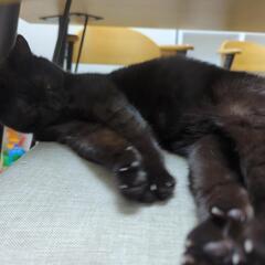 加湿脱臭機　プラジオン　富士通　2011　ジャンクの画像