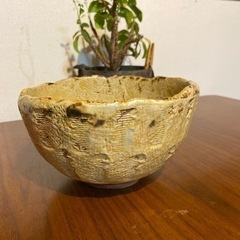 和皿　深皿　の画像