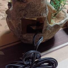 決まりました。　岩山　箱無しの画像