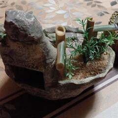 決まりました。　岩山　箱無しの画像