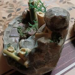 決まりました。　岩山　箱無しの画像