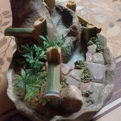 決まりました。　岩山　箱無しの画像