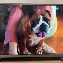 ハイビジョンLEDテレビ　32型