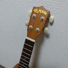 綺麗です‼️ALAMOANAウクレレの画像