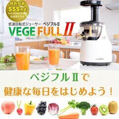 低速回転式ジューサー【さらに値下げ】の画像