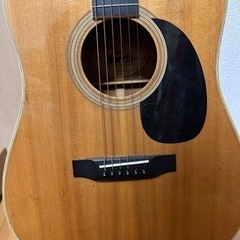 モリス　ギター　の画像