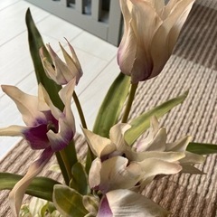 造花　エミリオロバ