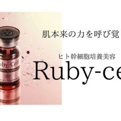 ヒト幹細胞美容Rubycell体験