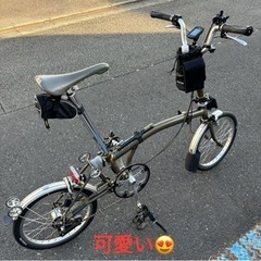 サイクリング女子募集（初心者女子も大歓迎）今回男性はごめんなさい🙏 - スポーツ