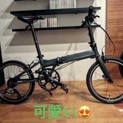 サイクリング女子募集（初心者女子も大歓迎）今回男性はごめんなさい🙏 - メンバー募集