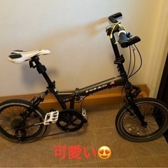 サイクリング女子募集（初心者女子も大歓迎）今回男性はごめんなさい🙏 − 神奈川県