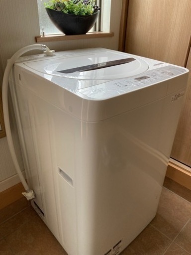 SHARP5.5K洗濯機　中古　極美