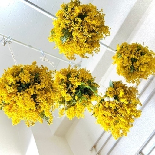 ミモザリース　ミモザボール　ミモザフライングリース　ミモザフライングスワッグ ミモザフライングリース フライングスワッグ フライングボール