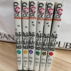 姉の結婚　6巻セット