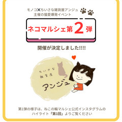 猫好き大集合のイベント第２弾を開催します😻追加情報♪ - 柳川市