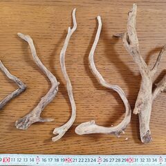 ADAの小枝系 流木　６本セットの画像