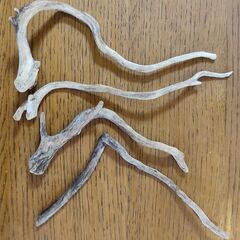 ADAの小枝系 流木　６本セットの画像