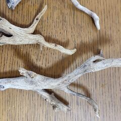 ADAの小枝系 流木　６本セットの画像