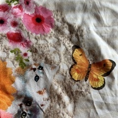 可愛い生地の画像