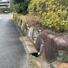 庭石　差し上げます！の画像