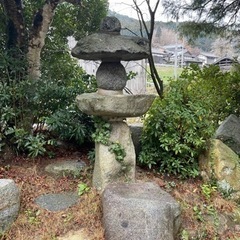 庭石　差し上げます！の画像