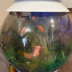 水槽ごと全て