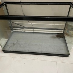水槽　熱帯魚