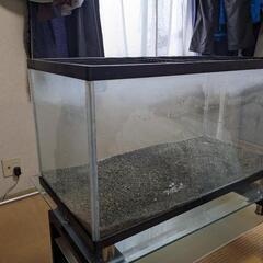 90cm水槽
