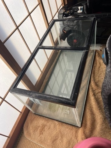 熱帯魚から大型魚まで飼えます‼️