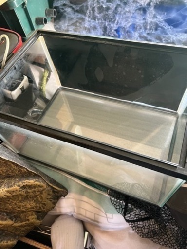 熱帯魚から大型魚まで飼えます‼️