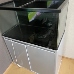 京都府の90cm水槽の中古が安い！激安で譲ります・無料であげます