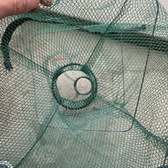 🐟鰻🦀🐷捕獲罠　未使用品の画像