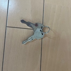 スノボ　キャリアの画像