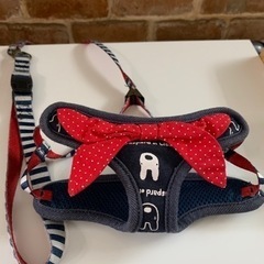犬🐶用　ハーネス　3Sサイズの画像
