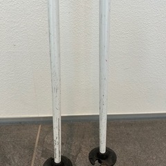 サロモン　ジュニアスキーポール90の画像