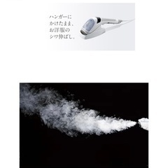 ハンディーイオンスチーマーの画像